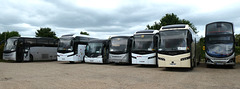 Neals Travel yard in Isleham - 26 May 2022 (P1110964)