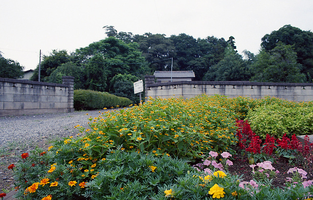 Flowers in front of the residence