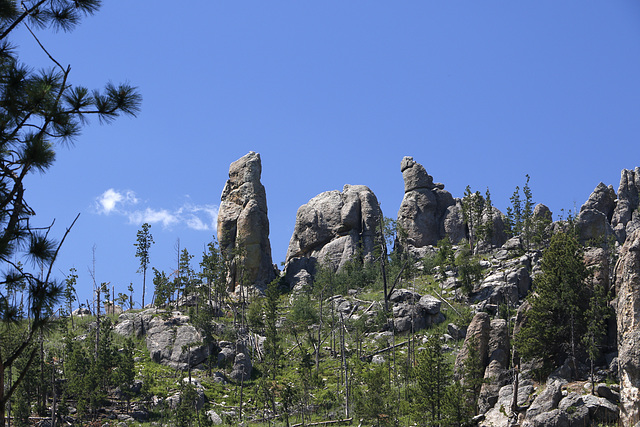 Needles Highway