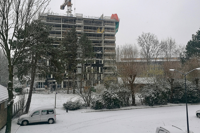 Snow