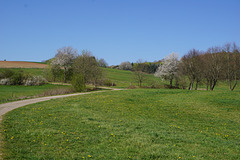 Spaziergang im April VI