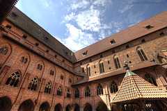 Malbork 81