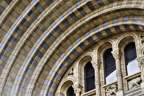 Monkeying Around – Natural History Museum, South Kensington, London, England