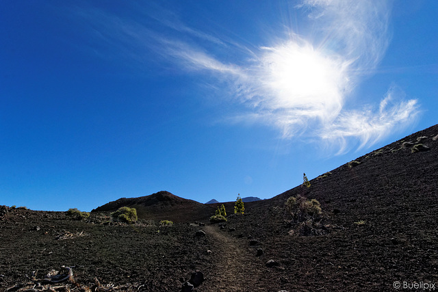 Wanderung um den Volcán de la Botija, im Hintergrund der Pico del Teide (© Buelipix)