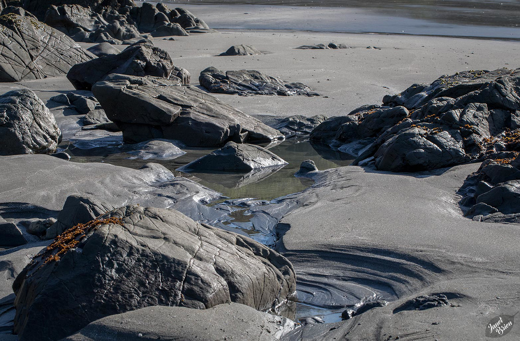 Tide Pool Beauty at Harris Beach, a Finale  (+5 insets)