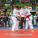 20ITG-2013