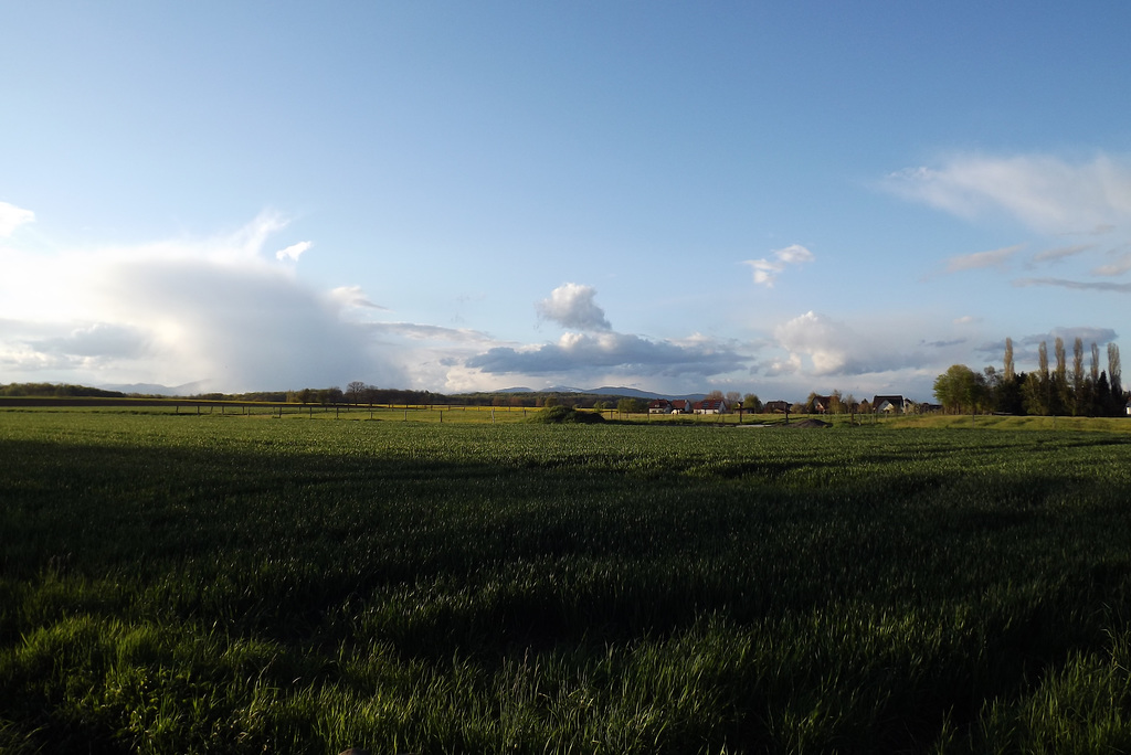 201604 ballon vosges depuis bluethwiller