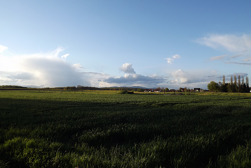 201604 ballon vosges depuis bluethwiller