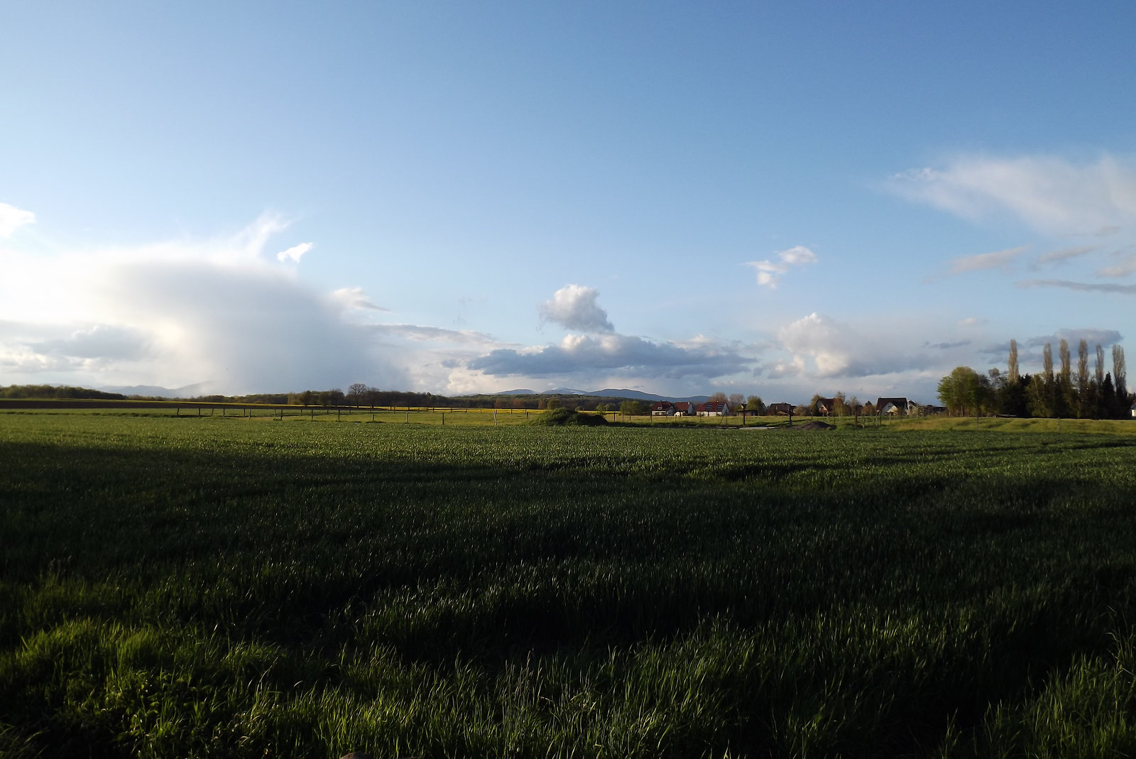 201604 ballon vosges depuis bluethwiller