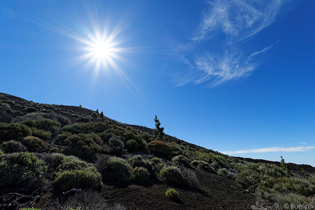 ... aufwärts bei Sonnenschein (© Buelipix)