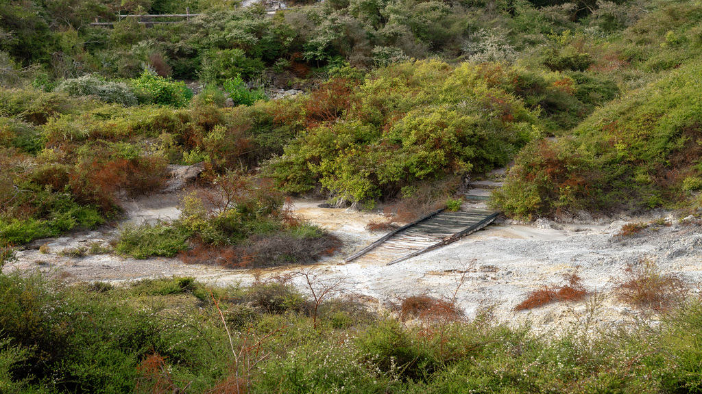 Neuseeland - Rotorua - Te Puia