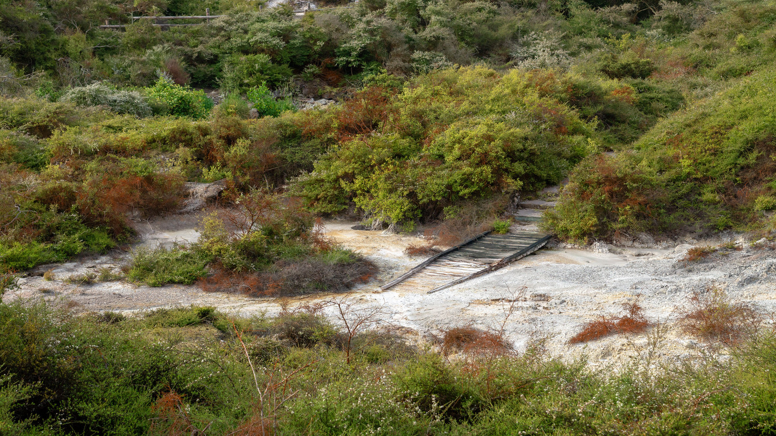 Neuseeland - Rotorua - Te Puia