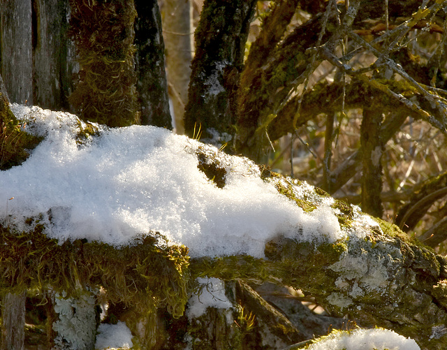 de la neige