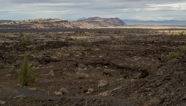 Lava Beds Natl Mon Black Crater CA (1029)