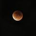 moon eclipse de lune 27-09-2015