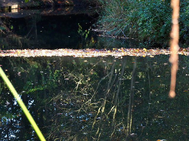 Reflecting in Wallsend Park