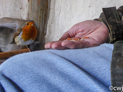 A bird in the hand...