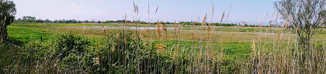 Naturschutzgebiet Aiquamolls - Panorama