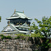 Château d'Osaka (14)
