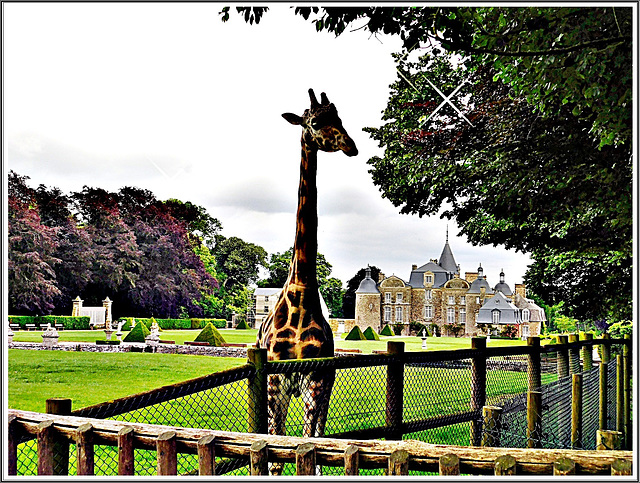 Aux parc et château de la Bourbansais à Pleugueneuc (35)