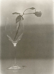The Glass And The Rose No. 2