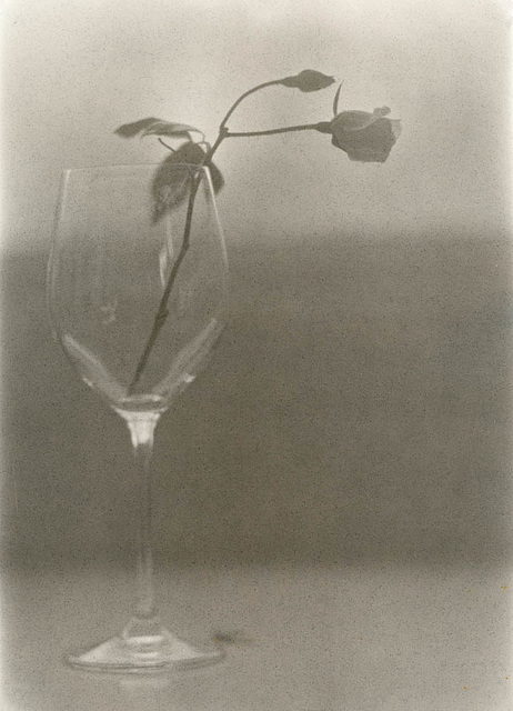 The Glass And The Rose No. 2