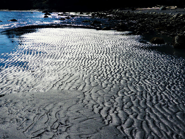 Beach walk