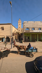 Le quotidien / Daily scenery