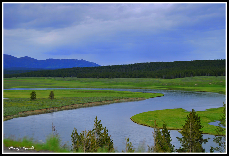 Yellowstone Park