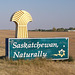 Saskatchewan naturally