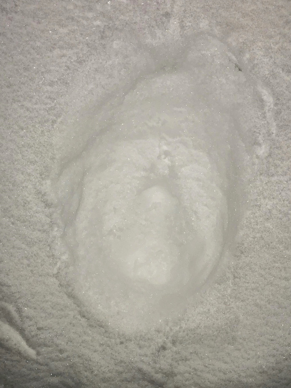 snow mask attempt