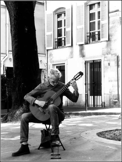 Le guitariste