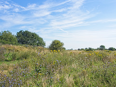 Milton Common, Portsmouth (+PiP)