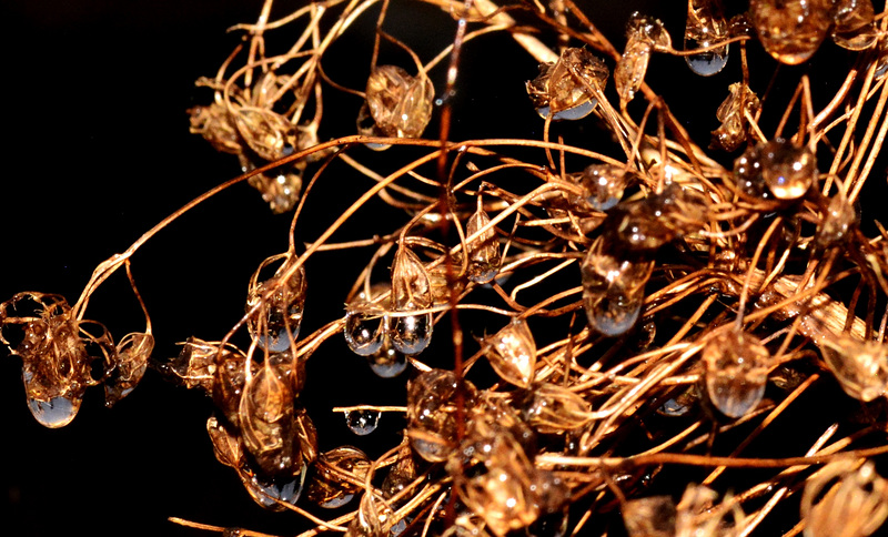 Bejewelled