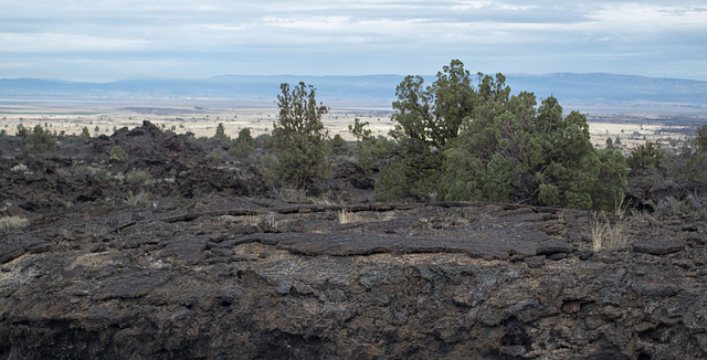 Lava Beds Natl Mon Black Crater CA (1030)