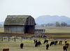 Shell of a barn