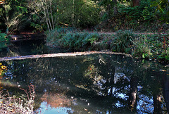 Reflecting in Wallsend Park