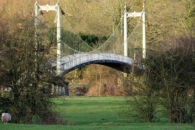 sellack suspension bridge , herefs.