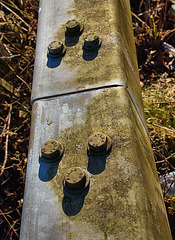 Roadside