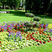 DE - Bad Kreuznach - Flowers in the Spa gardens