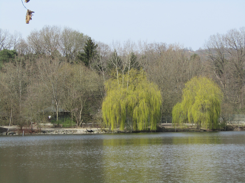 Höllohe-Weiher