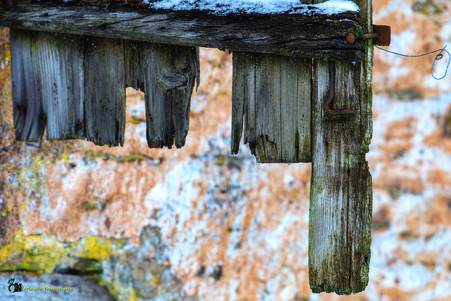 The wing of an old barn door