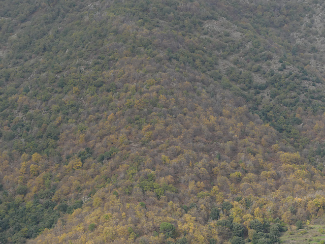 20241119 Col de Bes (13)