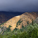 Near Matanuska Glacier