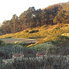 Presidio (imag0468)