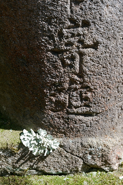 Pierre et lichen