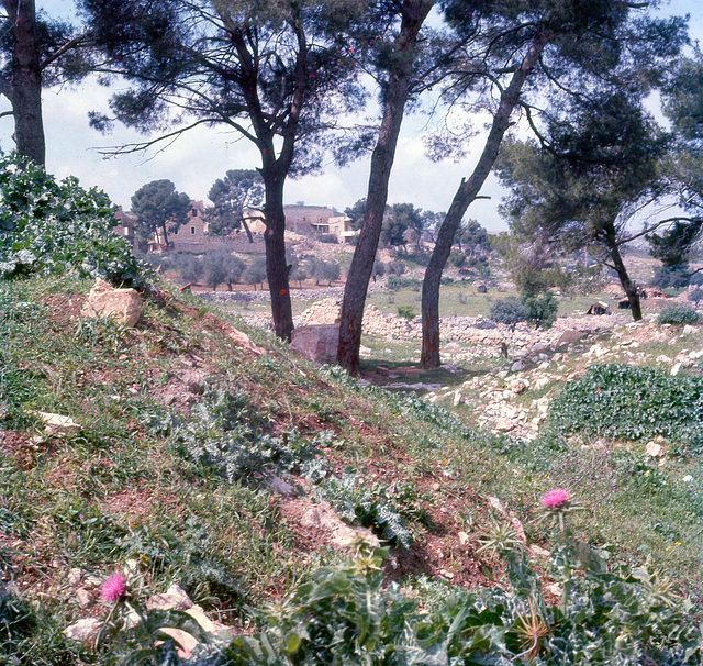 Mount Scopus, Jerusalem in 1970