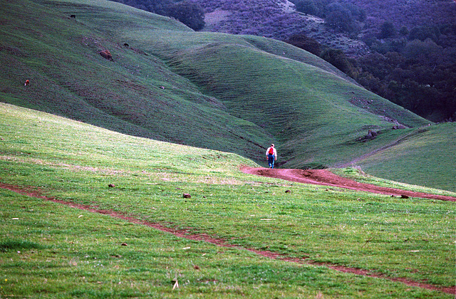 California Hiking