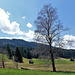 Barfussweg Appenzell