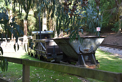 sawrlmtsep92023 (1111)